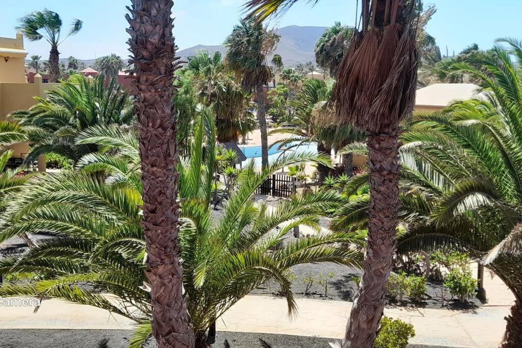 Apartment Cumbre Vieja Fuerteventura Corralejo Kültér fotó