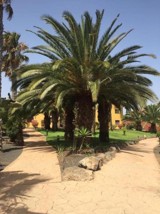 Apartment Cumbre Vieja Fuerteventura Corralejo Kültér fotó
