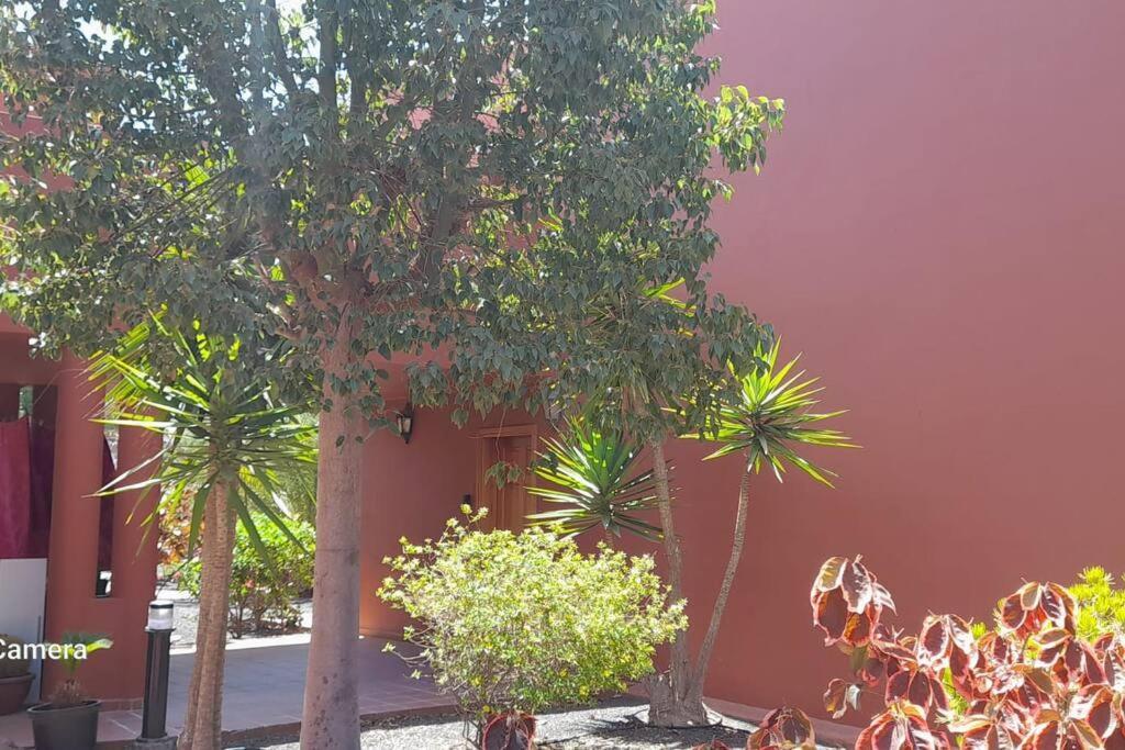 Apartment Cumbre Vieja Fuerteventura Corralejo Kültér fotó
