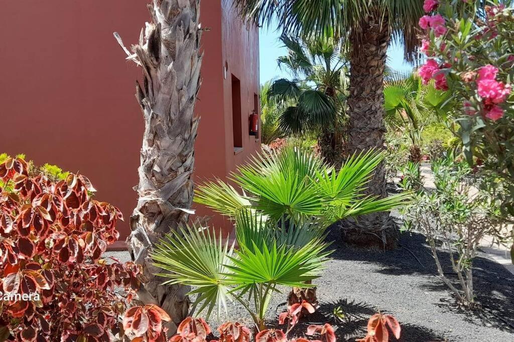 Apartment Cumbre Vieja Fuerteventura Corralejo Kültér fotó