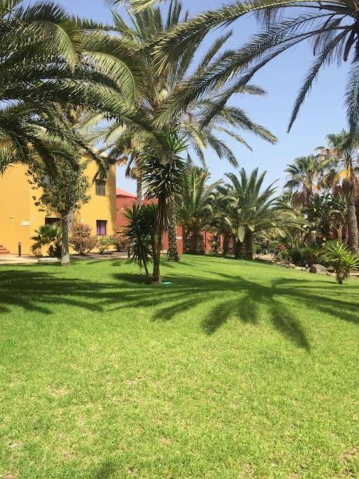 Apartment Cumbre Vieja Fuerteventura Corralejo Kültér fotó