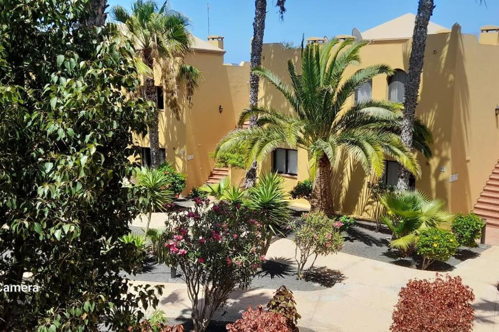 Apartment Cumbre Vieja Fuerteventura Corralejo Kültér fotó